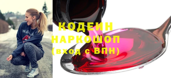 индика Бугульма