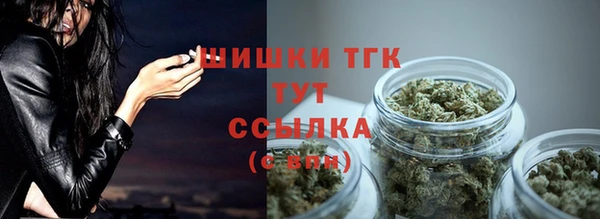 индика Бугульма