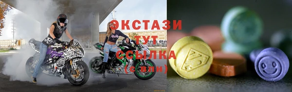 индика Бугульма