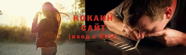 индика Бугульма