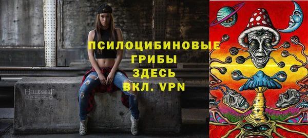 индика Бугульма