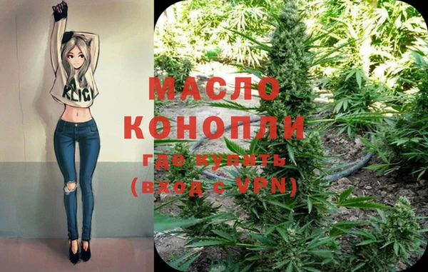 индика Бугульма
