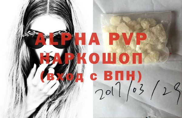 индика Бугульма