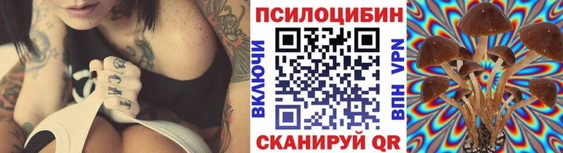 наркотики  Межгорье  Галлюциногенные грибы мицелий 