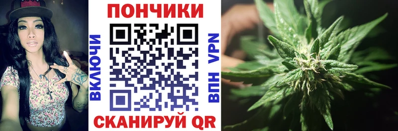 наркота Межгорье Шишки марихуана THC 21%